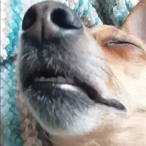 Meet your Posher, Aj